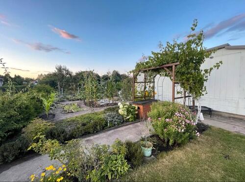 Foto - Gartenparzelle in Reitbahnviertel