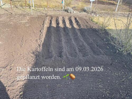 Foto - Grundst&uuml;ck zur Miete in Neubrandenburg