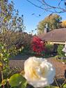 Foto - Einfamilienhaus in Bestlage Müllheim im Markgräflerland