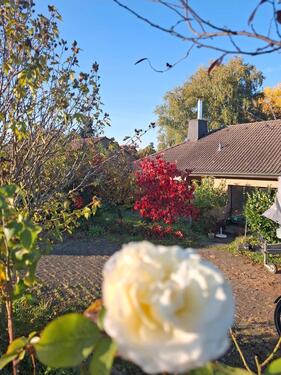 Foto - Einfamilienhaus in Bestlage Müllheim im Markgräflerland