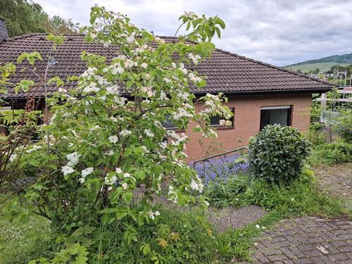 Foto - 7 Zimmer Einfamilienhaus in Müllheim