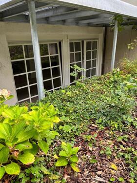 Foto - Helle freundliche 1Zi Wohnung mit Terrasse und neuer Küche 74qm
