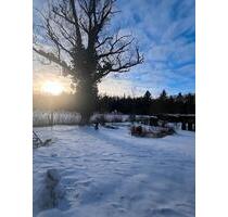 Freistehendes EFH mit Traumausblick- renoviert, Sackgasse - Westerstede