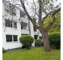 Helle 3-Zimmer-Souterrainwohnung in zentraler Lage Bad Homburg - Bad Homburg vor der Höhe Berliner Siedlung/Gartenfeld