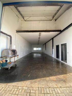 Foto - andere in Edingen-Neckarhausen