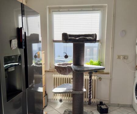 Foto - 3 Zimmer Erdgeschoßwohnung in Adelheidsdorf