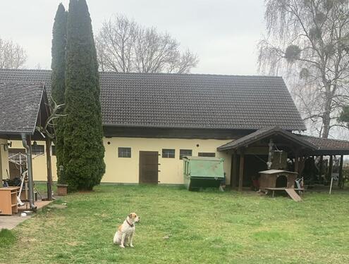 Foto - 5 Zimmer Einfamilienhaus in Petershagen/Eggersdorf