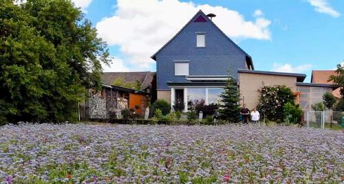 Foto - Einfamilienhaus zum Kaufen in Bad Gandersheim