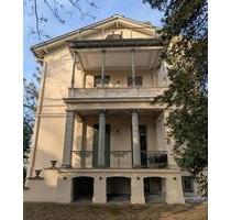 Repräsentative Büroetage. Auch als Teilgewerbe zum Wohnen und Arbeiten. - Potsdam