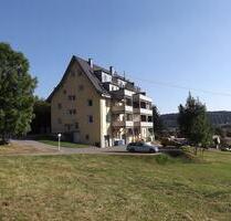 Wie ein Haus- 6 Zimmer mit 139,6 M² WF Niedrigenergiehaus, 4,95% - Neufra