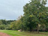 Foto - Steuobstwiese - 50,00 EUR Kaltmiete, ca.  0,00 m²