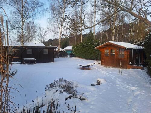 Foto - 3 Zimmer Bungalow in Märkische Heide