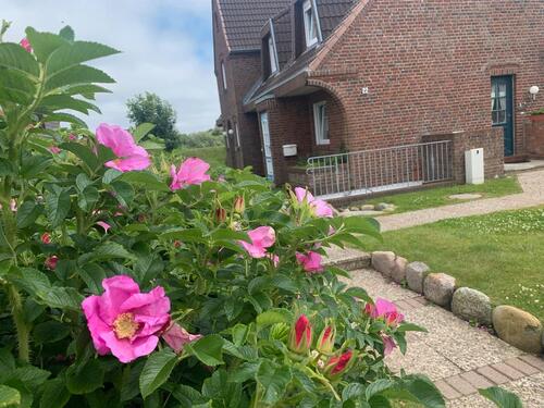 Foto - Schöne Ferienwohnung, Sylt Westerland, strandnah