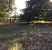 Garten,Freizeitgrundstück,Pachtgarten,evtl.Tierhaltung zur Miete - Elsterwerda