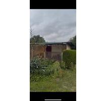 Garten zum Verkauf oder zur Miete - Berlin Pankow