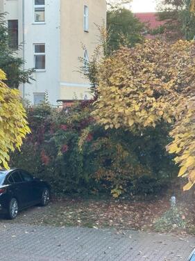 Foto - Außenstellplatz zu vermieten - 30,00 EUR Miete,