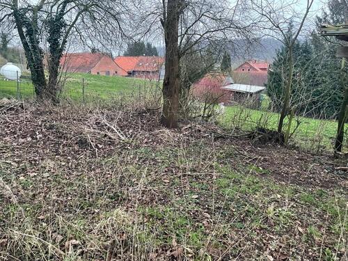 Foto - Einfamilienhaus in Freden (Leine) zum Kaufen