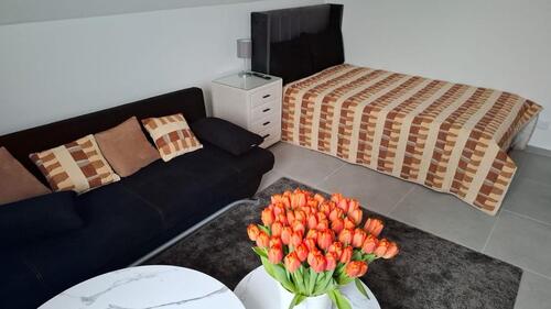Foto - Möbilierte modernisierte 2 Zimmer Wohnung Wolfsburg Mörse - 50 qm