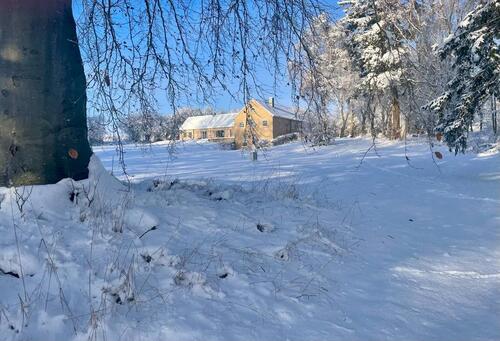 Foto - Wochenend-Domizil direkt an der Schlei auf großem Grundstück