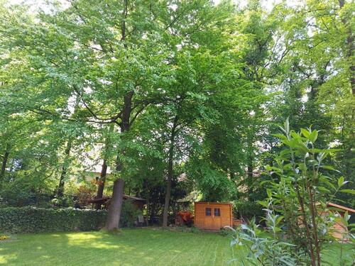 Foto - Wohnen &Arbeiten in ruhiger Umgebung mit Blick ins Grüne in Ehmen