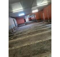 Lagerhalle - 500,00 EUR Kaltmiete, in Freren (PLZ: 49832)