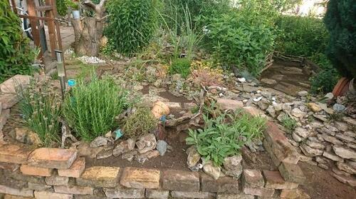 Foto - Grundst&uuml;ck zur Miete in Mühlhausen (Thüringen)