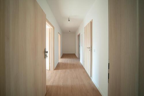 Foto - Etagenwohnung in Magdeburg zur Miete