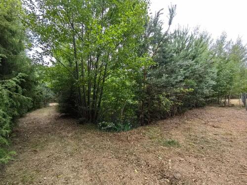 Foto - Grundstück in Ribbesbüttel