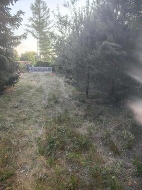 Foto - Grundstück in Ribbesbüttel zur Miete