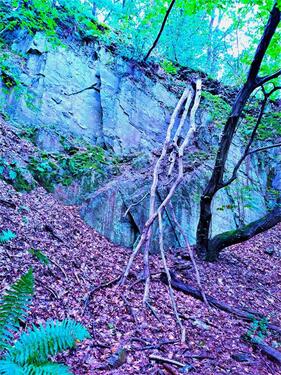Foto - Grundstück zur Miete in Solingen