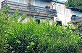 Foto - Schöne 3 Zimmer Wohnung - 265.000,00&nbsp;EUR Kaufpreis, ca.&nbsp; 70,00&nbsp;m&sup2;