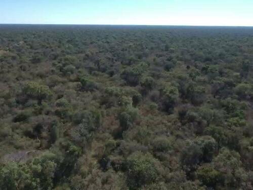 Foto - Exklusive Landinvestition im paraguayischen Chaco, 1891 Ha
