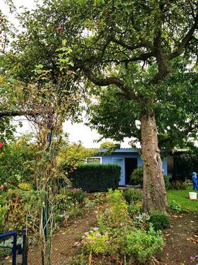 Foto - Garten in der Rostocker Südstadt