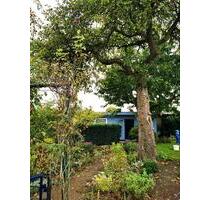 Garten in der Rostocker Südstadt - Papendorf