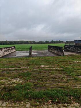 Foto - andere in Wathlingen