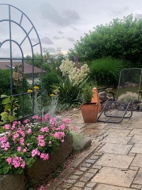 Foto - schöne 2-Zimmer- Mietwohnung (teilmöbiliert) mit Terrasse