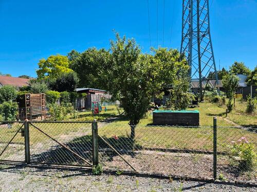 Foto - Kleingarten inkl. aller Gartengeräte 500 € !!!