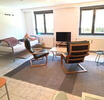 Kurzzeitvermietung Möbliertes 1 Zimmer- Appartment neu renoviert - Stein