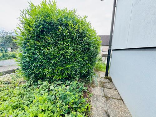 Foto - Etagenwohnung in Ehrenkirchen zur Miete