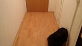Foto - Erdgeschoßwohnung in Greifswald zur Miete