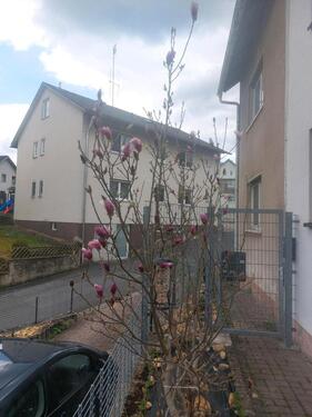 Foto - Doppelhaushälfte zum Verkauf - 250.000,00&nbsp;EUR Kaufpreis, ca.&nbsp; 160,00&nbsp;m&sup2;