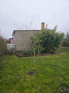 Foto - Grundst&uuml;ck zur Miete in Lübbenau (Spreewald)