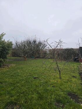 Foto - Grundst&uuml;ck in Lübbenau (Spreewald)