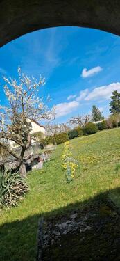 Foto - Doppelhaushälfte in Körner zum Kaufen