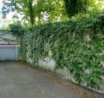 Foto - andere in München