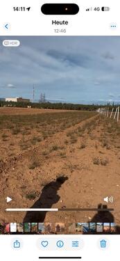 Foto - 7500 m Grundstück in Bouarg, Nador