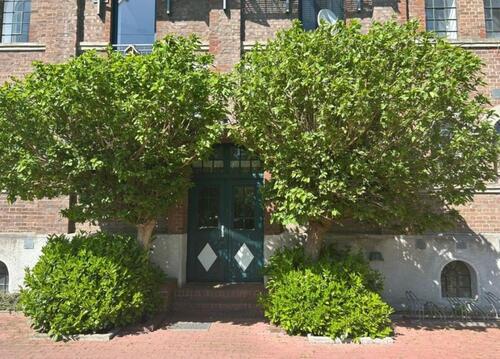 Foto - 4 Zimmer Etagenwohnung zur Miete in Lienen