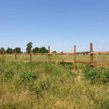 Foto - 9 Zimmer Doppelhaushälfte zum Kaufen in Neetzow-Liepen