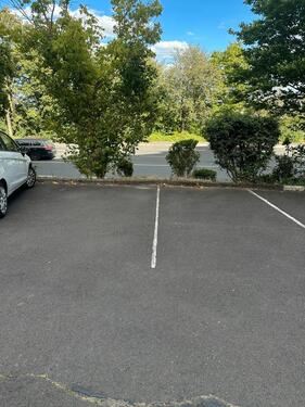 Foto - Stellplatz - 50,00 EUR Miete,