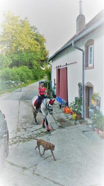 Foto - andere in Blieskastel zur Miete